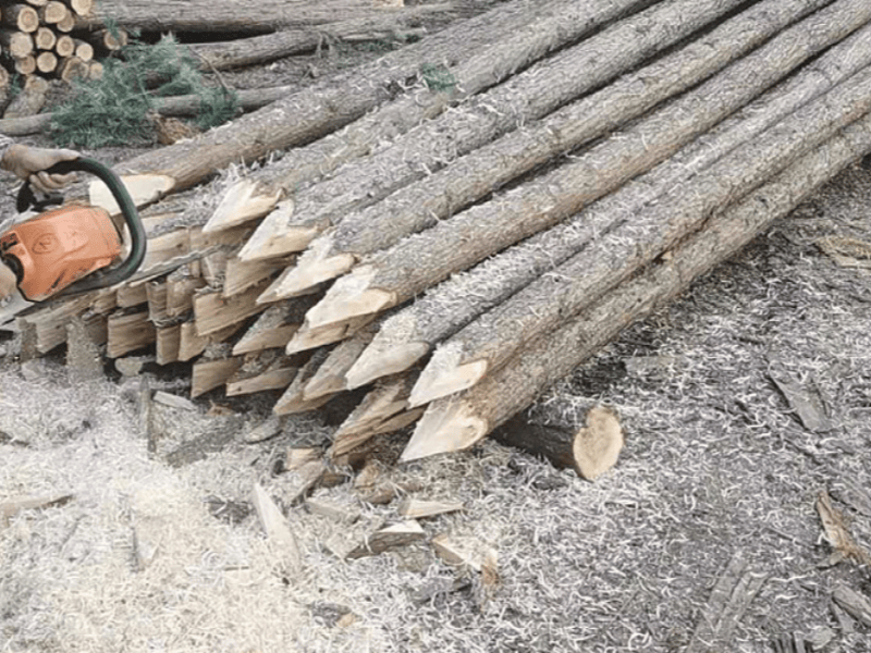 SPMT модульдік жүк көлігі: өзен аралық көпірлерді бұзуға арналған модульдік конструктор, қиындықтар алдында оны ыңғайлы етеді