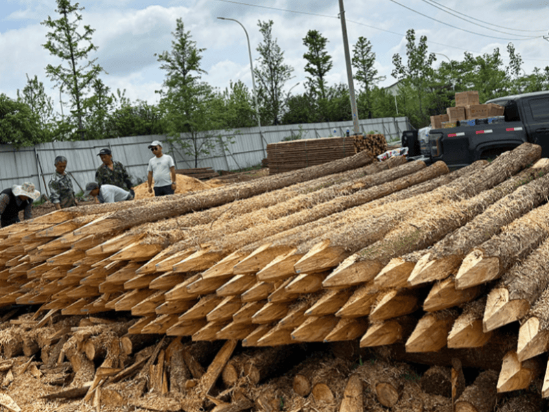 Өзен арқылы өтетін көпірді бұзу, қиындықтар мен мүмкіндіктер қатар өмір сүреді: кәсіби SPMT модульдік жүк көлігі, жеңіске жету шешімі