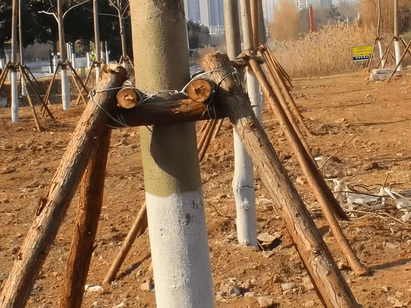 Кәсіби және тиімді SPMT өздігінен жүретін модульдік көлік – тиеу-түсіру процесін интеллектуалды оңтайландыру стратегиясына арналған мұнай-химиялық жабдықты дайындау;