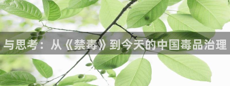 漂亮的桃子电影1987