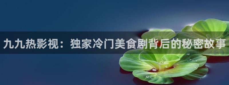 久久精品视频98国产