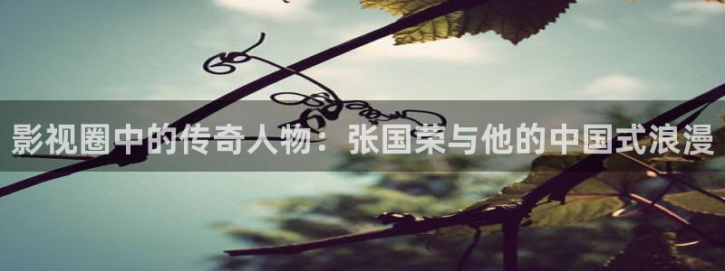 请回答1988资源在线观看